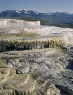 USA, Wyoming, Yellowstone National Park. Mammoth Hot Springs. View over white and yellow sulphur