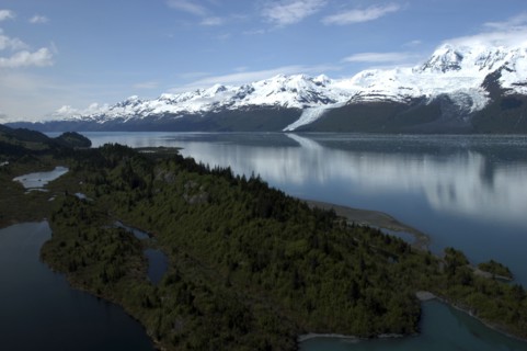 USA, Alaska, College Fjord, View over trees and calm waters of the bay toward snow capped mountain