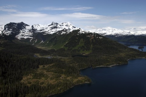 USA, Alaska, Prince William Sound, Aerial view over coastal landscape and snow capped mountain