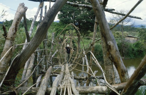 INDONESIA, Sulawesi, Napu Valley. Bamboo bridge with man walking across.