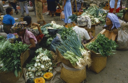 INDONESIA, Sulawesi, Markets, Market sellers sitting around baskets of green vegetables.
