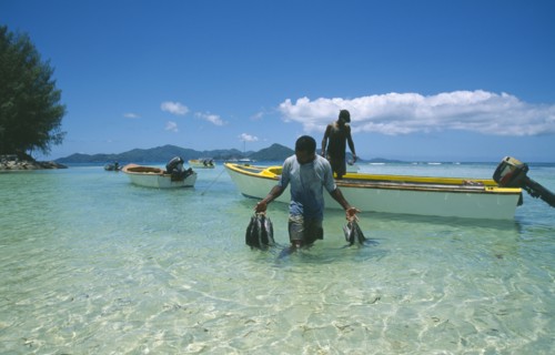 SEYCHELLES, La Digue, Fisherman wading ashore holding his catch.