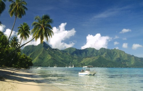 PACIFIC ISLANDS, French Polynesia, Moorea, Yachts and motor boat moored offshore of sandy beach
