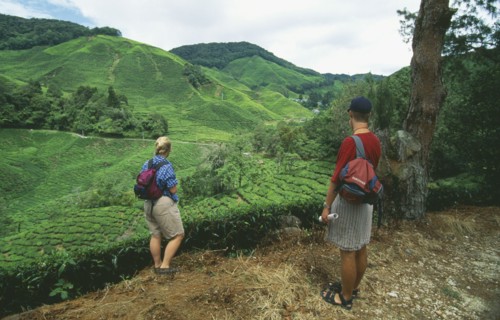 MALAYSIA, Perak Province, Cameron Highlands, Sungai Palas Estate with tourist couple looking out