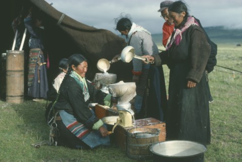 TIBET, People, Tibetan nomad women on the high grasslands with cream seperator brought by
