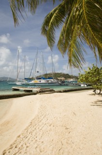 WEST INDIES, St Vincent & The Grenadines, Union Island, Clifton Harbour moorings and beach outside