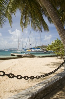 WEST INDIES, St Vincent & The Grenadines, Union Island, Clifton Harbour moorings and beach outside