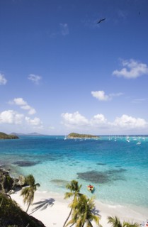 WEST INDIES, St Vincent & The Grenadines, Tobago Cays, View across the beach at Jamesby Island and