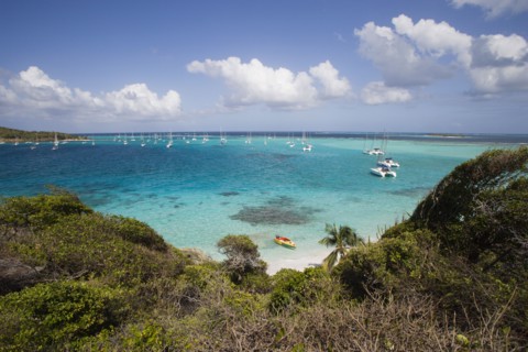 WEST INDIES, St Vincent & The Grenadines, Tobago Cays, View across the beach at Jamesby Island