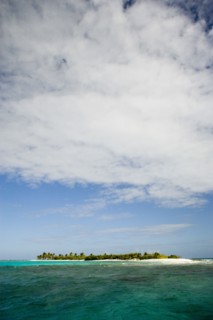 WEST INDIES, St Vincent & The Grenadines, Tobago Cays, Petit Tobac island