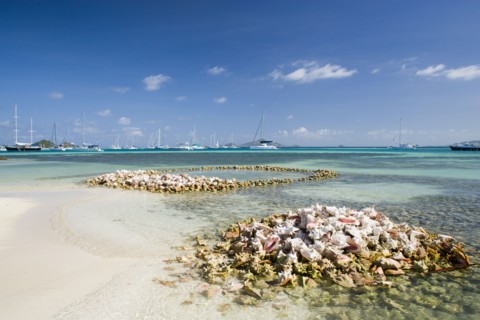 WEST INDIES, St Vincent & The Grenadines, Union Island, Conch shell structures on the beach at