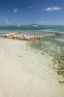 WEST INDIES, St Vincent & The Grenadines, Union Island, Conch shell structures on the beach at