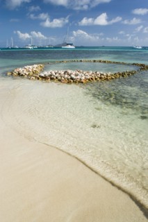 WEST INDIES, St Vincent & The Grenadines, Union Island, Conch shell structures on the beach at