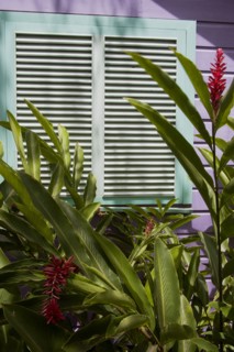 WEST INDIES, Barbados, St James, Brightly coloured Holetown Chattel house with tropical plants