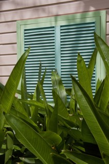 WEST INDIES, Barbados, St James, Brightly coloured Holetown Chattel house with tropical plants