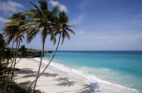 WEST INDIES, Barbados, St Philip, Coconut palm trees on the beach at Bottom Bay with man swimming