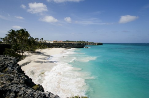 WEST INDIES, Barbados, St Philip, Coconut palm trees on the beach at Bottom Bay with man swimming