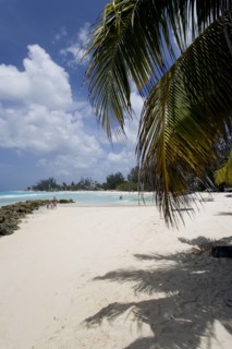WEST INDIES, Barbados, Christ Church, Sea defences at Rockley Beach also known as Accra Beach after