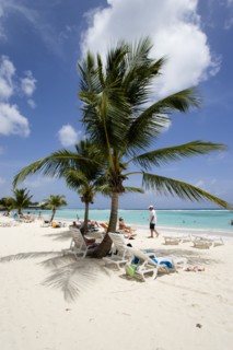 WEST INDIES, Barbados, Christ Church, Tourists under coconut palm trees on Worthing Beach