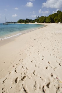 WEST INDIES, Barbados, St Peter, Gibbes Bay beach