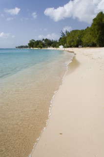 WEST INDIES, Barbados, St Peter, Gibbes Bay beach