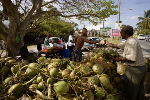 WEST INDIES, Barbados, St James, Man buying from men opening coconuts to sell the juice in bottles