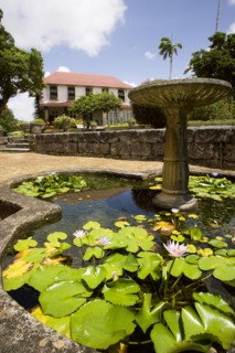WEST INDIES, Barbados, St George, Francia plantation house gardens and waterlilly pond with