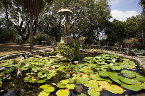 WEST INDIES, Barbados, St George, Francia plantation house gardens and waterlilly pond with