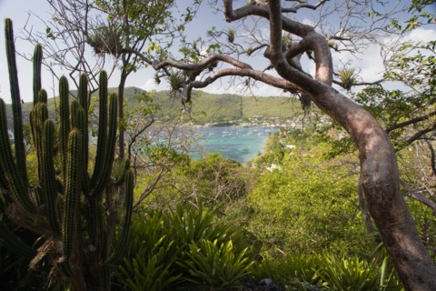 WEST INDIES, St Vincent & The Grenadines, Bequia, Port Elizabeth in Admiralty Bay with moored
