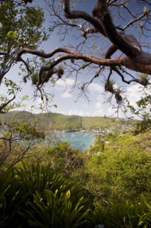 WEST INDIES, St Vincent & The Grenadines, Bequia, Port Elizabeth in Admiralty Bay with moored