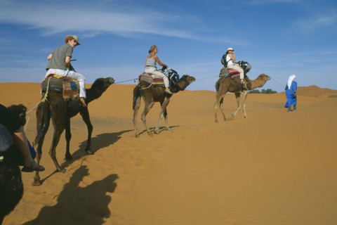 MOROCCO, Sahara, Merzouga, Guide leading tourist camel train through desert landscape.
