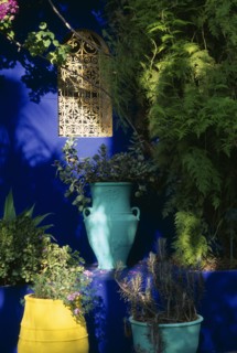 MOROCCO, Marrakesh, The Jardin Majorelle owned by Yves St Laurent.  Detail of planting against