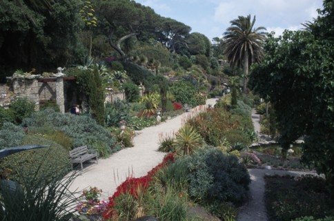 UNITED KINGDOM, Scilly Isles, Tresco, Abbey Gardens
