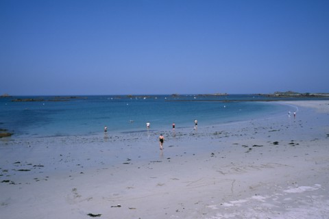 UNITED KINGDOM, Channel Islands, Guernsey, Castel. Cobo Bay. Sandy beach with people paddling at