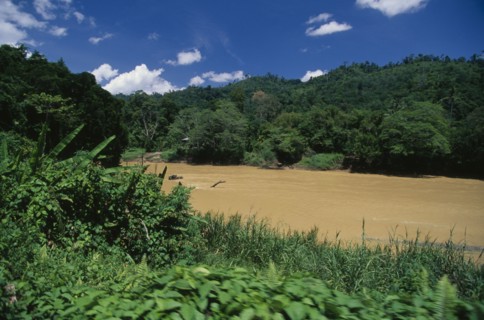 MALAYSIA, Sabah, Padas River, River through jungle near Tenom.  Many of the rivers in Borneo are