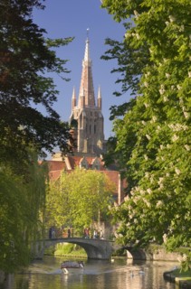BELGIUM, West Flanders, Bruges, "Canal scene with St Salvatorskathedraal, St Saviour's Cathedral,
