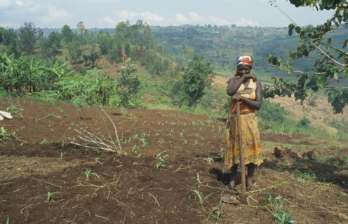BURUNDI, Kirundo Province, Tribal People, Burundian returnee from Rwanda cultivating land using