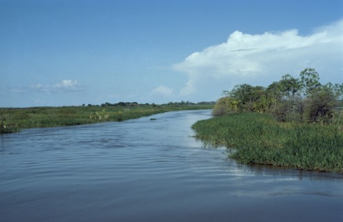BRAZIL, Amazon, Para, Igarape Jari near Carariaca.  Amazon floodplain at high water.