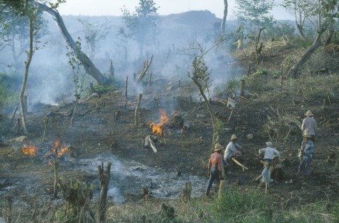INDONESIA, Lombok, Environment, Aftermath of traditional slash and burn method of forest clearance