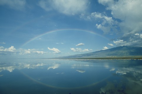 TANZANIA, Lake Natron, Reflected rainbow bisected by a pink line of flamingoes feeding in the algae