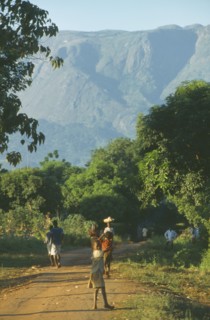MALAWI, Mulanje, People walking along path in area of tea growing and subsistence farming with