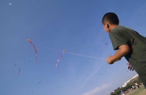 THAILAND, Bangkok, "Kite festival at Sanam Luang, February. Boy flying one in foreground, many