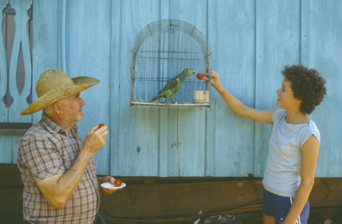BRAZIL, People, Elderly man and young girl feeding fruit to caged parrot.