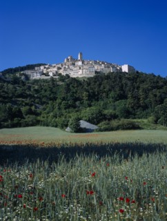 ITALY, Abruzzo, Castel del Monte, "The village on side of a hill, surounded by trees,  viewed over