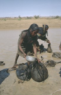 SUDAN, Kordofan Province, Kababish tribeswomen collecting water.