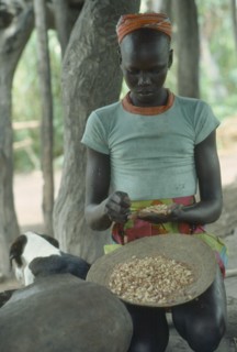 SUDAN, People, Dinka tribeswoman shelling groundnuts.
