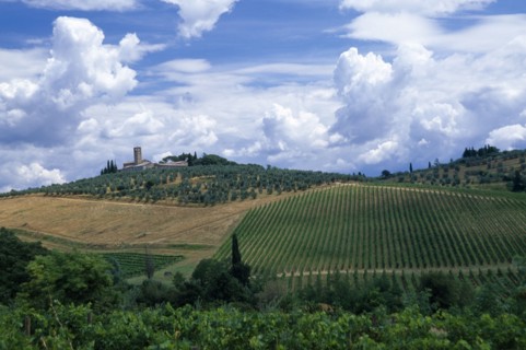 ITALY, Tuscany, General, Landscape with vineyards and dramatic cloudscape above towards San Lucia