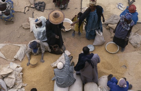 MALI, Sahel Desert, Tonka, Looking down on traders and customers making transaction at market stall