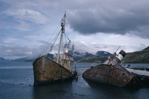 ANTARCTICA, South Georgia, Grytviken, Abandoned whale catchers semi capsized in the water.