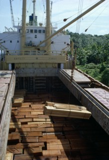 BRAZIL, Amazon, Logging, Timber being loaded onto ship for export.